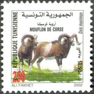 Stamp