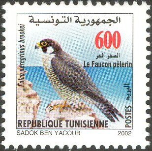 Stamp
