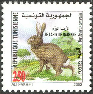 Stamp
