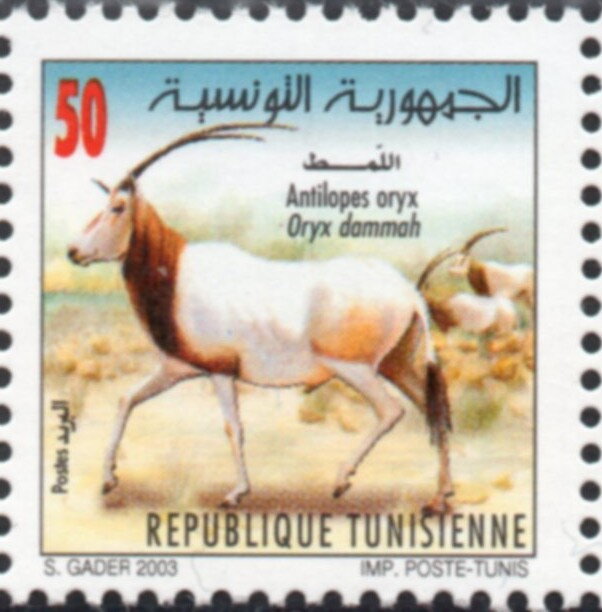 Stamp