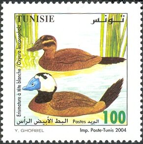 Stamp