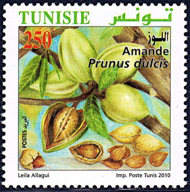 Stamp