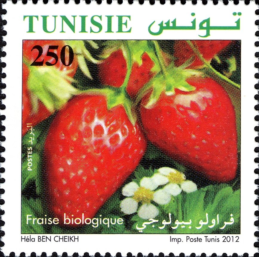 Stamp