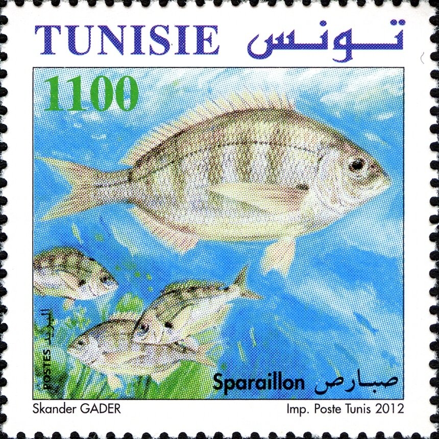 Stamp