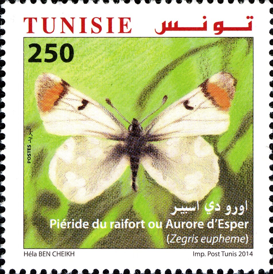 Stamp