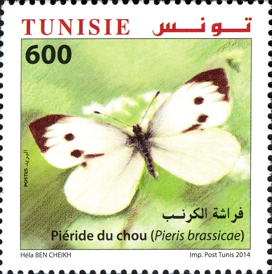 Stamp