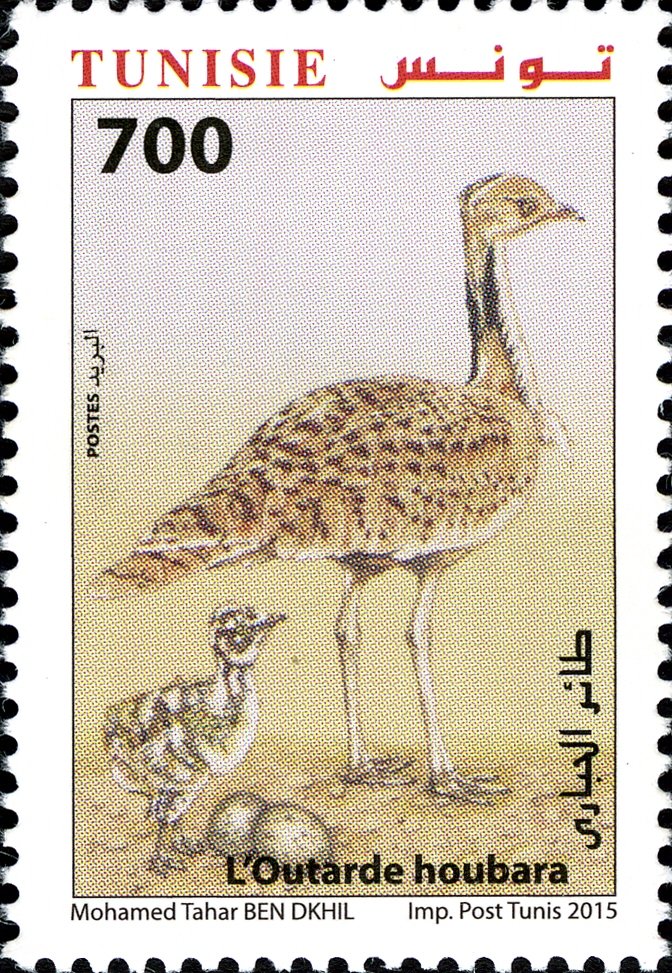 Stamp