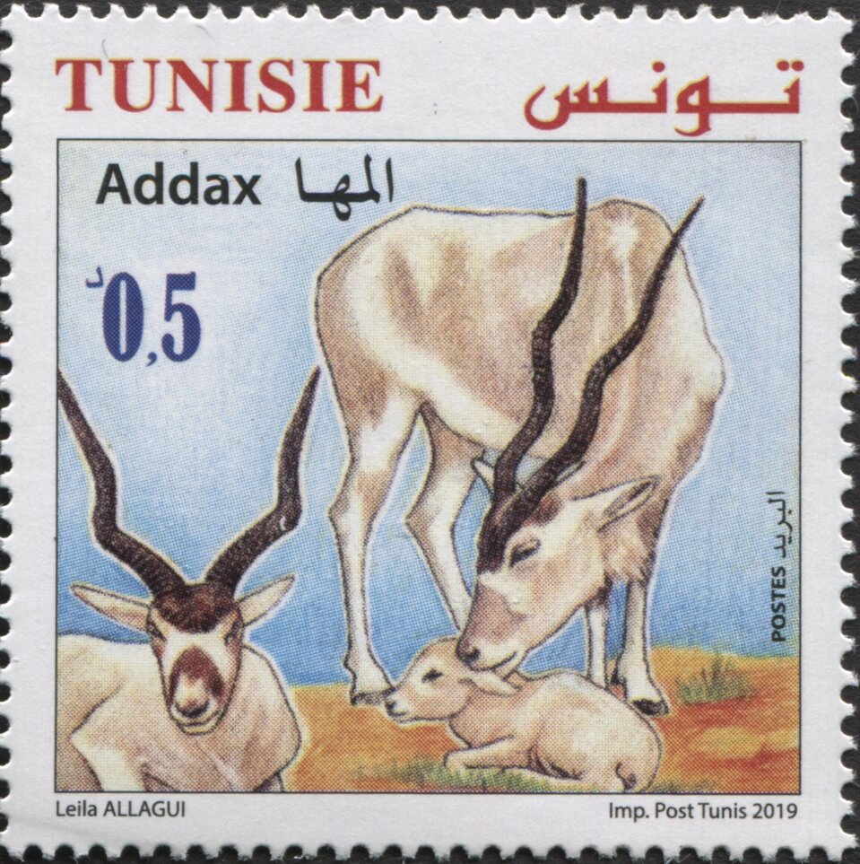 Stamp