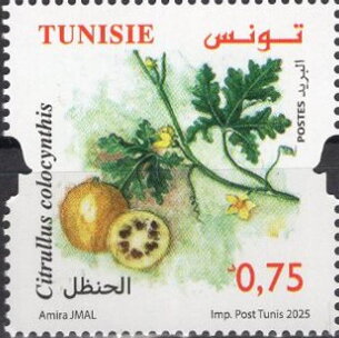 Stamp