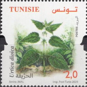 Stamp